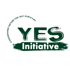 logo_yes_initiative